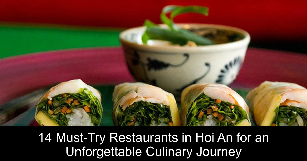 14 Must-Try Restaurants in Hoi An for an Unforgettable Culinary Journey