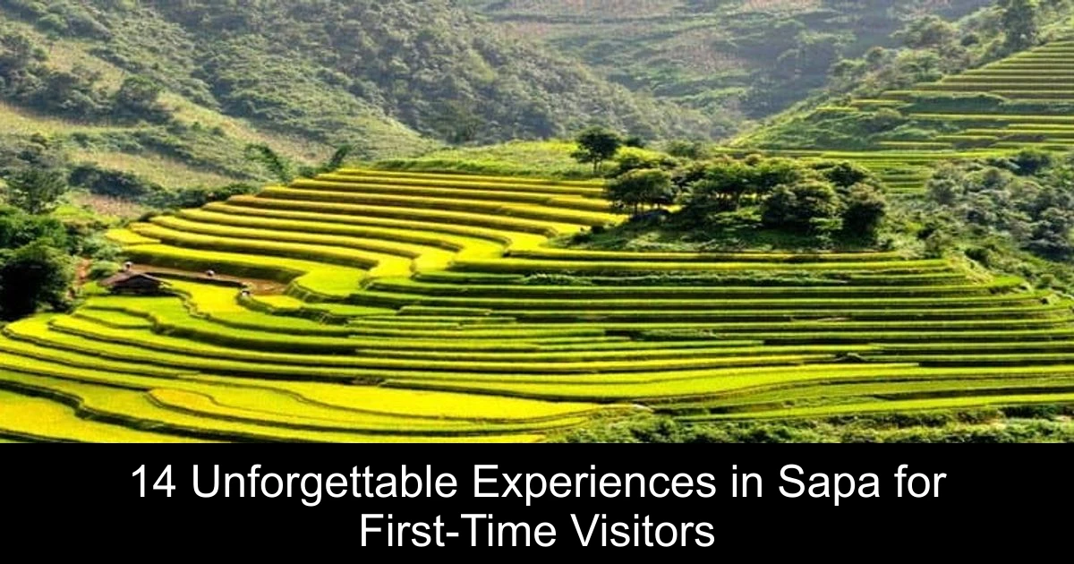 14 Unforgettable Experiences in Sapa for First-Time Visitors