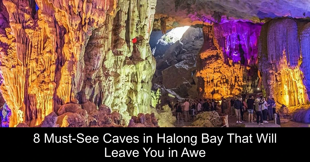 8 Must-See Caves in Halong Bay That Will Leave You in Awe