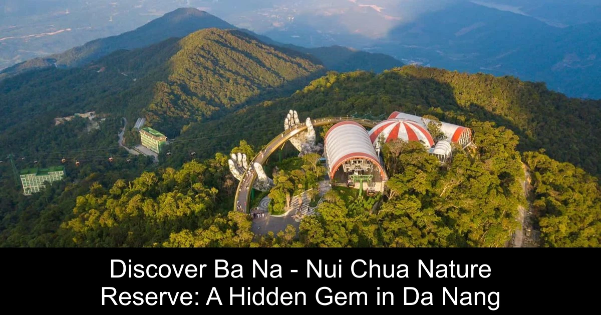 Discover Ba Na - Nui Chua Nature Reserve: A Hidden Gem in Da Nang