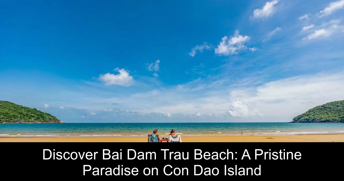 Discover Bai Dam Trau Beach: A Pristine Paradise on Con Dao Island
