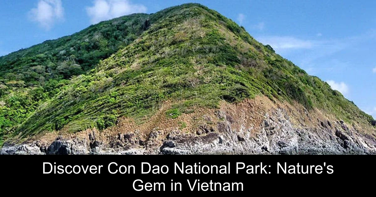 Discover Con Dao National Park: Nature's Gem in Vietnam