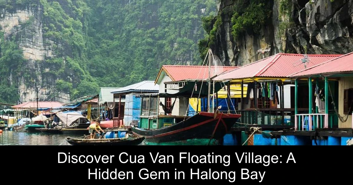 Discover Cua Van Floating Village: A Hidden Gem in Halong Bay