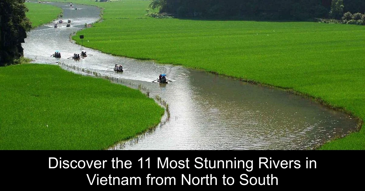 Discover the 11 Most Stunning Rivers in Vietnam from North to South