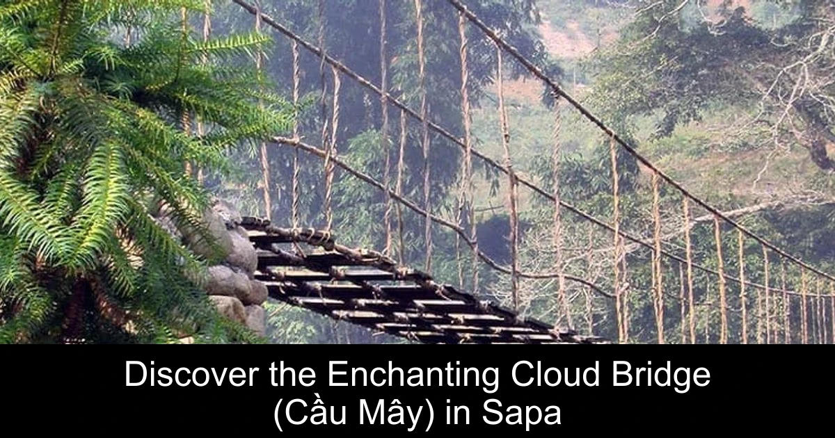 Discover the Enchanting Cloud Bridge (Cầu Mây) in Sapa