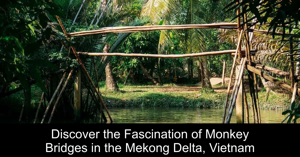 Discover the Fascination of Monkey Bridges in the Mekong Delta, Vietnam