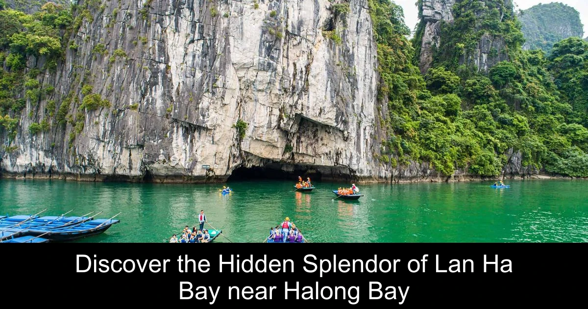 Discover the Hidden Splendor of Lan Ha Bay near Halong Bay