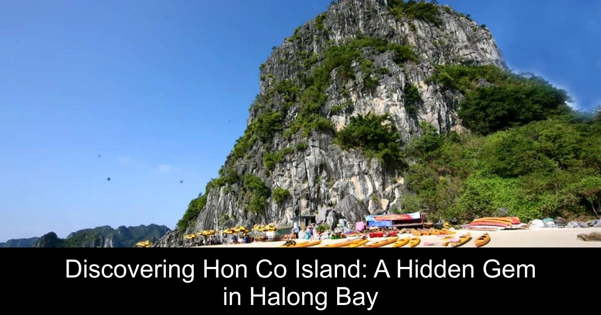 Discovering Hon Co Island: A Hidden Gem in Halong Bay