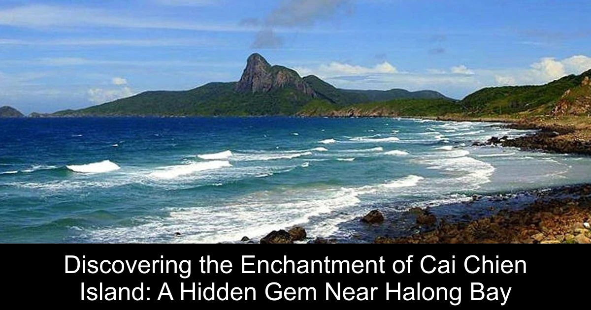Discovering the Enchantment of Cai Chien Island: A Hidden Gem Near Halong Bay