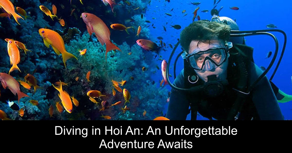 Diving in Hoi An: An Unforgettable Adventure Awaits