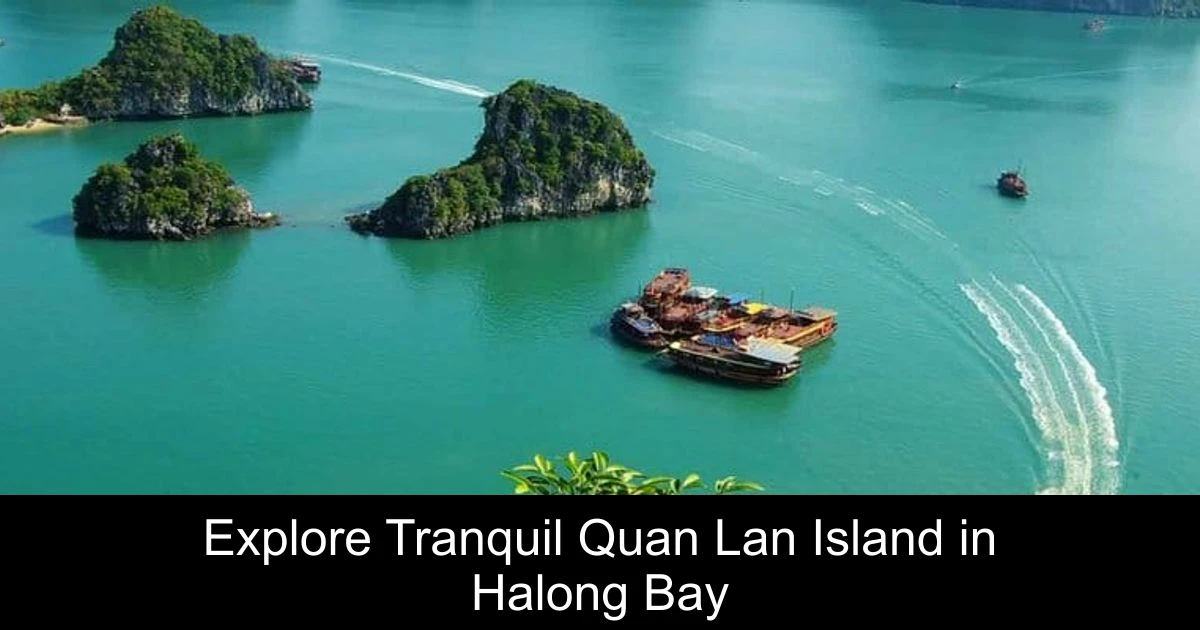 Explore Tranquil Quan Lan Island in Halong Bay