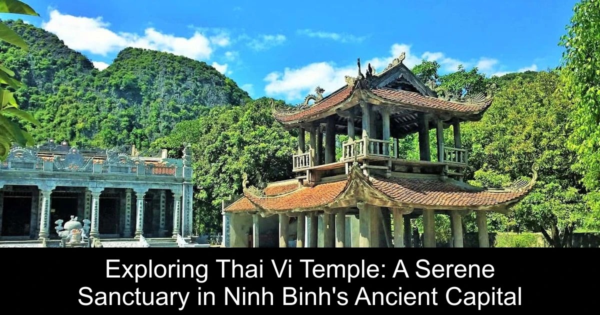 Exploring Thai Vi Temple: A Serene Sanctuary in Ninh Binh's Ancient Capital