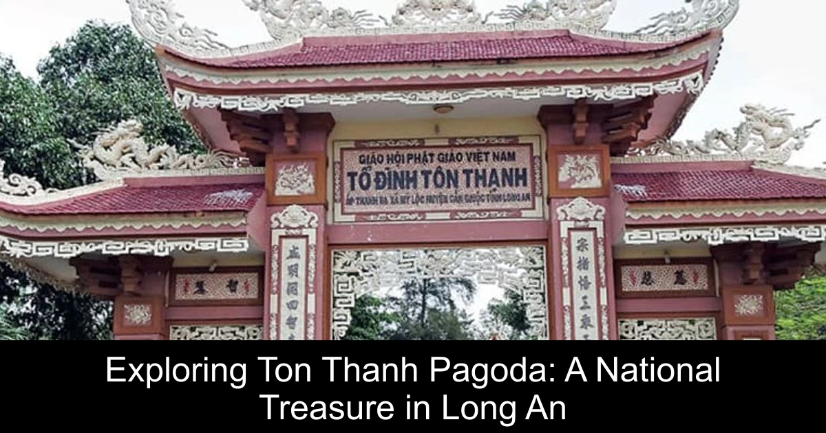 Exploring Ton Thanh Pagoda: A National Treasure in Long An