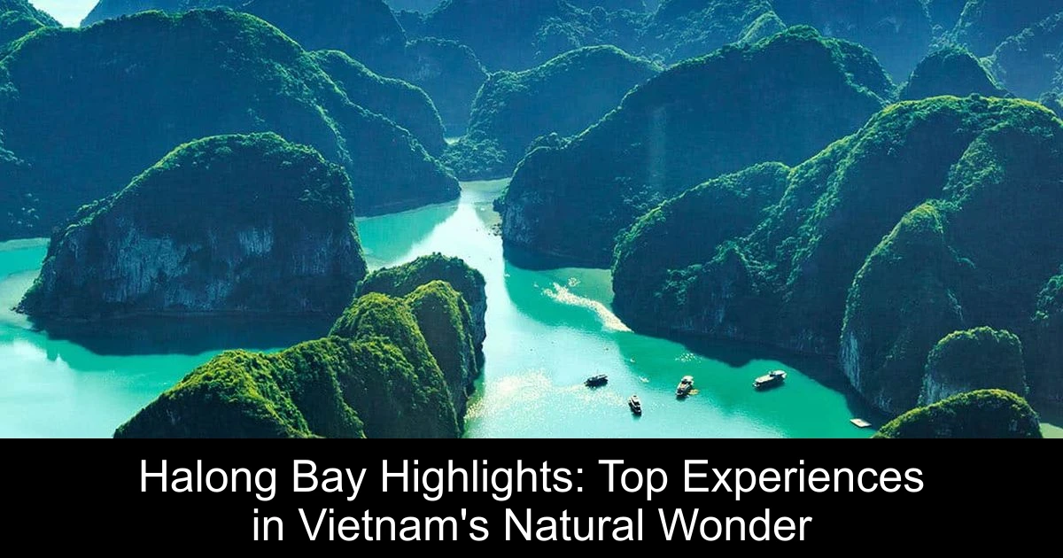 Halong Bay Highlights: Top Experiences in Vietnam's Natural Wonder