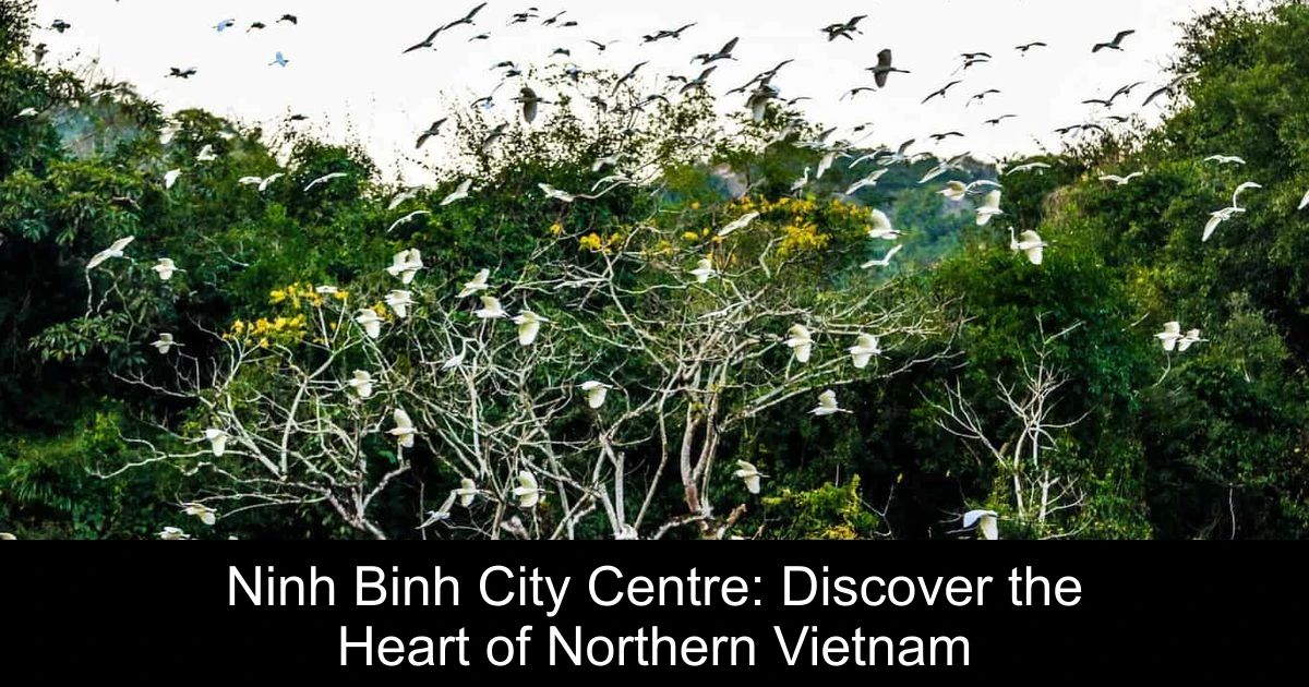 Ninh Binh City Centre: Discover the Heart of Northern Vietnam
