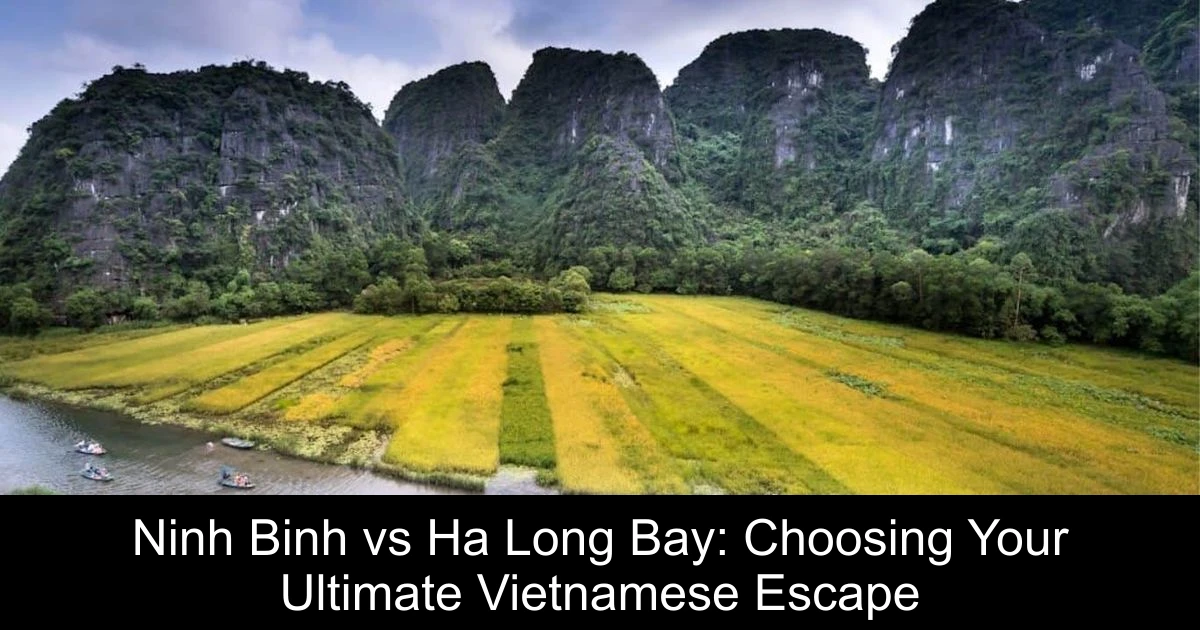 Ninh Binh vs Ha Long Bay: Choosing Your Ultimate Vietnamese Escape