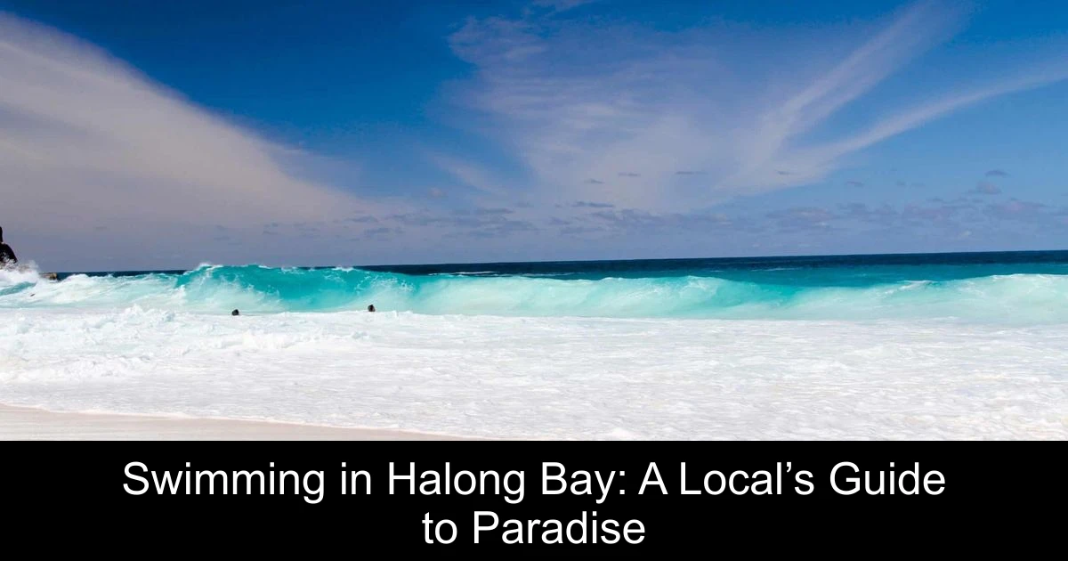 Swimming in Halong Bay: A Local’s Guide to Paradise