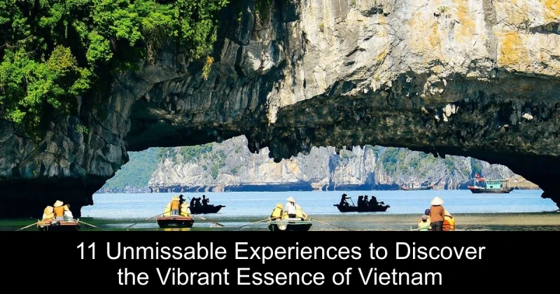 11 Unmissable Experiences to Discover the Vibrant Essence of Vietnam
