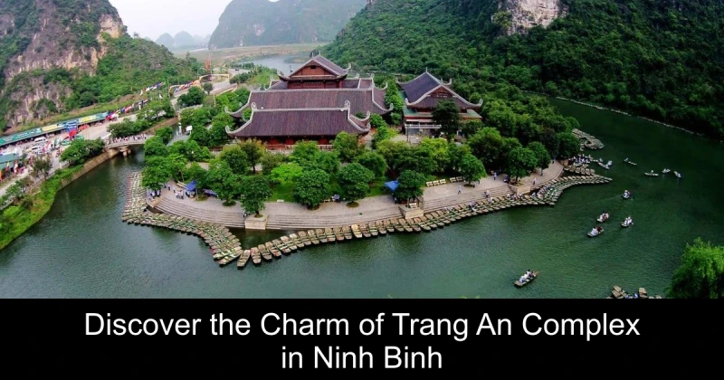 Discover the Charm of Trang An Complex in Ninh Binh