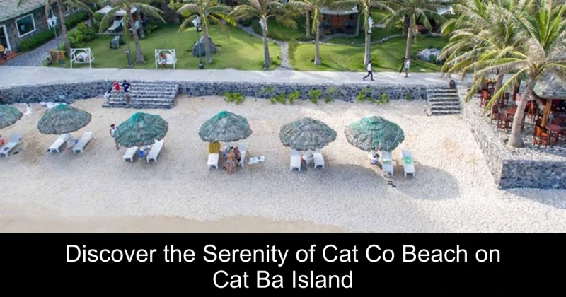 Discover the Serenity of Cat Co Beach on Cat Ba Island