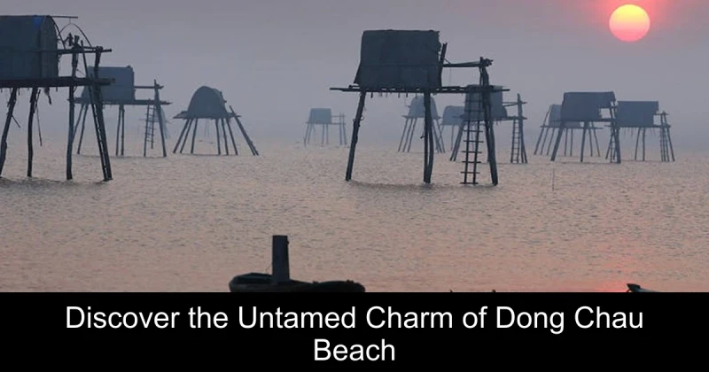 Discover the Untamed Charm of Dong Chau Beach