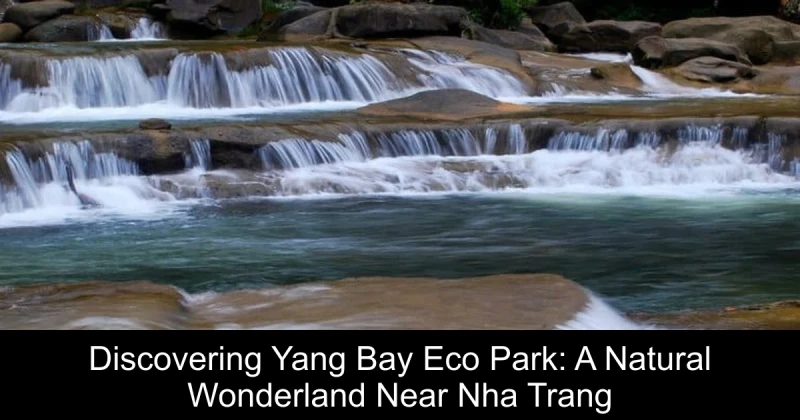 Discovering Yang Bay Eco Park: A Natural Wonderland Near Nha Trang