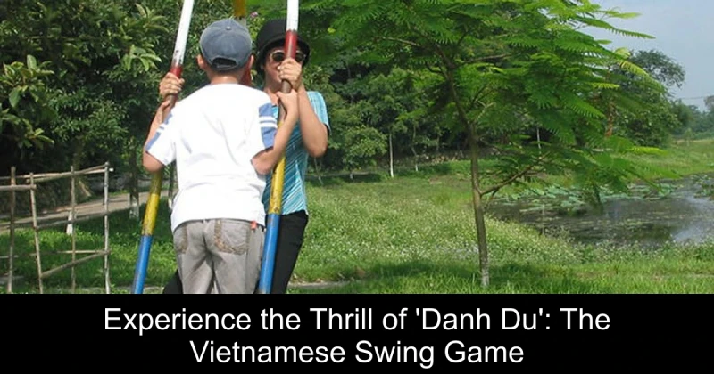 Experience the Thrill of 'Danh Du': The Vietnamese Swing Game