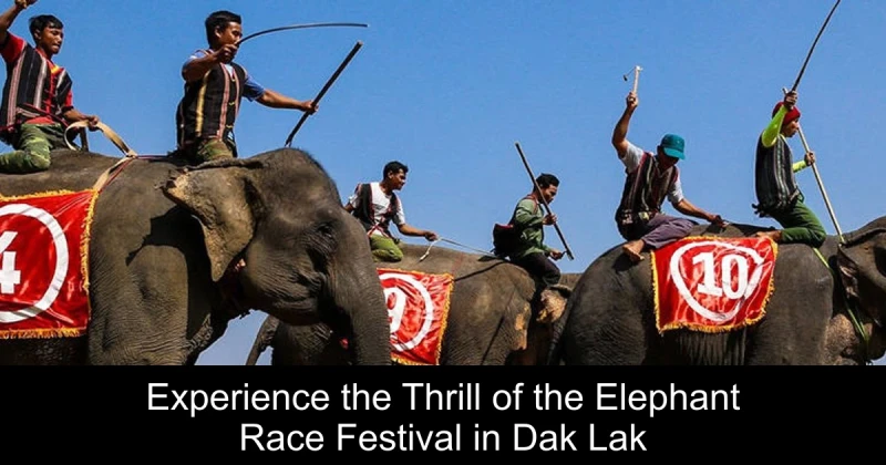 Experience the Thrill of the Elephant Race Festival in Dak Lak
