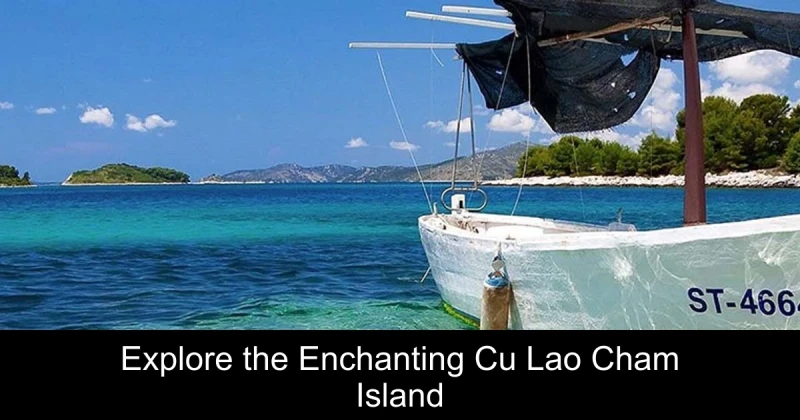 Explore the Enchanting Cu Lao Cham Island & Nature Reserve Near Hoi An
