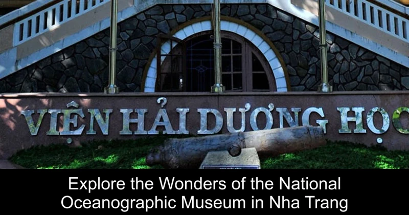 Explore the Wonders of the National Oceanographic Museum in Nha Trang