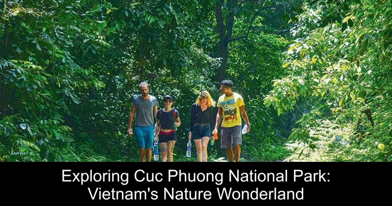 Exploring Cuc Phuong National Park: Vietnam's Nature Wonderland