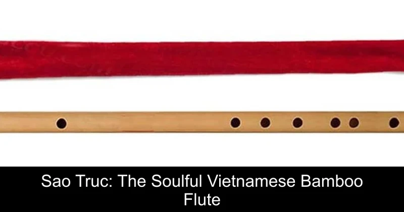 Sao Truc: The Soulful Vietnamese Bamboo Flute