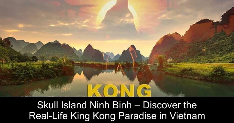 Skull Island Ninh Binh – Discover the Real-Life King Kong Paradise in Vietnam