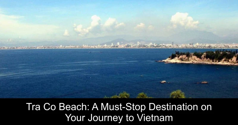 Tra Co Beach: A Must-Stop Destination on Your Journey to Vietnam