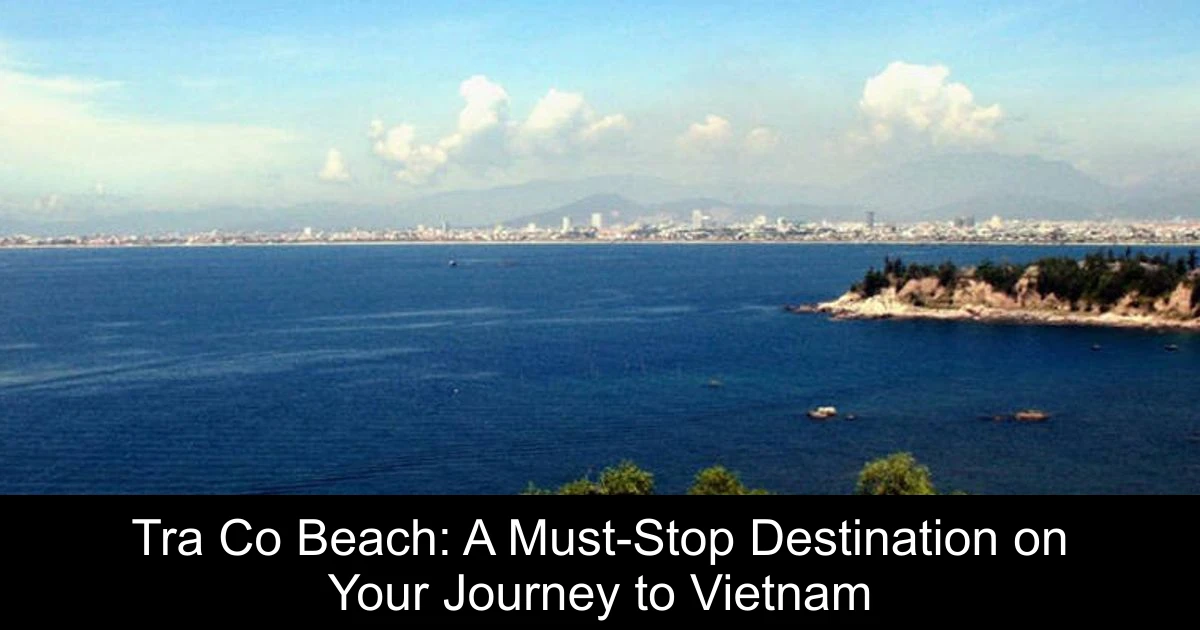 Tra Co Beach: A Must-Stop Destination on Your Journey to Vietnam