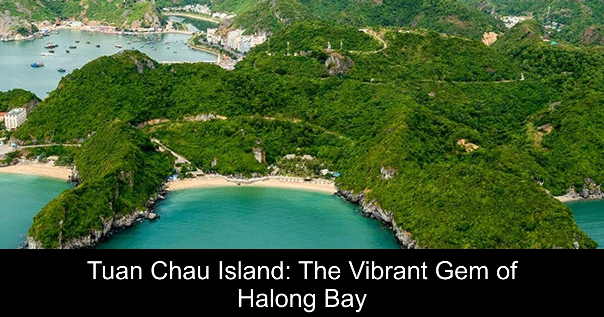 Tuan Chau Island: The Vibrant Gem of Halong Bay