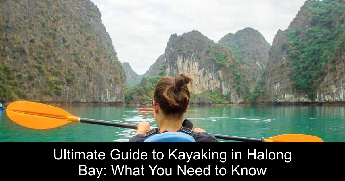 Ultimate Guide to Kayaking in Halong Bay: What You Need to Know
